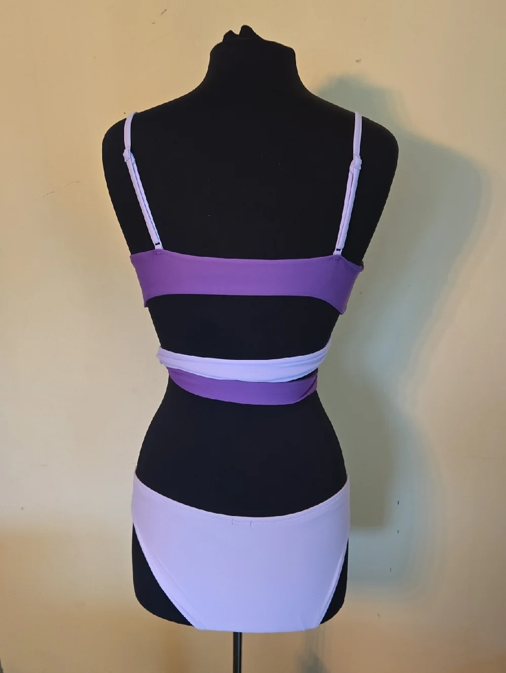 aerie Purple Colorblock Wrap Bikini Set